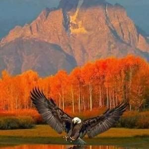 Meet your Posher, Eudis